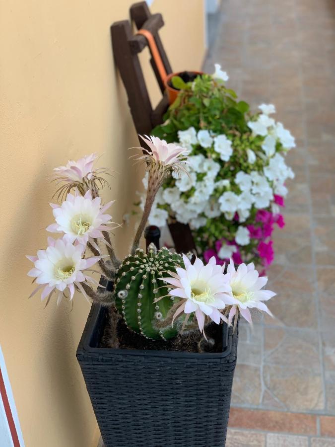 Bed and Breakfast Bb Borgo Biella Candelo Exterior foto